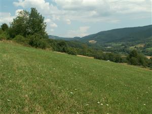 pohľad na TML_ColiMyrm_007 Grúň 26.7.2014