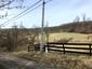 sova lesná (obyčajná) (21.4.2023)