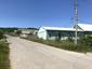 sova lesná (obyčajná) (11.5.2023)