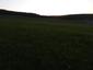 Sýkorka hôrna (10.5.2023)