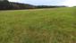 Žltochvost lesný ( hôrny) (24.5.2023)