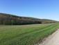 trasochvost biely (21.5.2023)