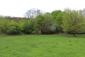 trasochvost biely (20.5.2023)