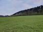 Sýkorka čiernohlavá (19.5.2023)