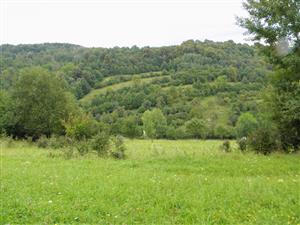 pohlad na zapadny okraj lokality