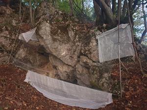 Pohľad na miesto odchytu