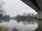 Potápka hnedá (malá) (19.3.2023)