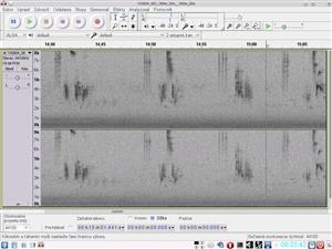 spektrogram spevu