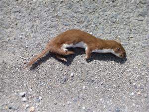 IMG_20150906_113232.jpg