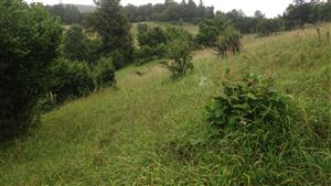 lokalita