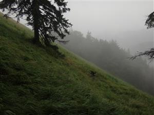 lokalita