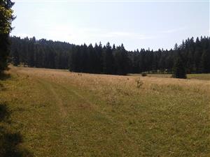 lokalita
