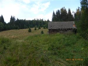 Stajna