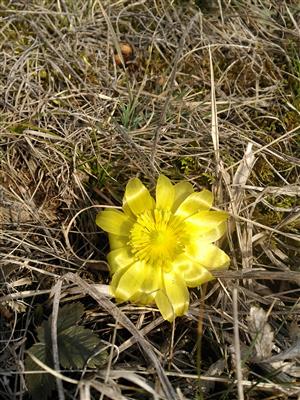 20160303_110951.png