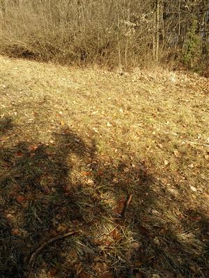 20160309_083412.png