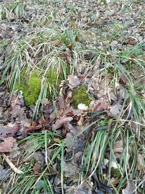 20160309_093708.png