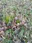 20160309_093708.png