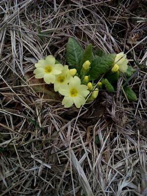 20160313_105312.png