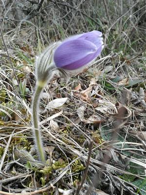 20160323_082641.png