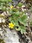 20160323_085633.png