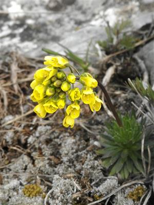20160323_094411.png