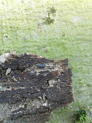 20160324_094758.png