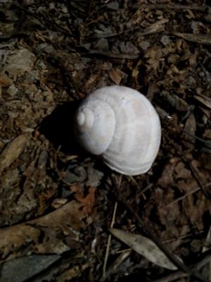 20160325_114726.png