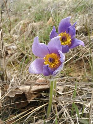 20160330_113615.png