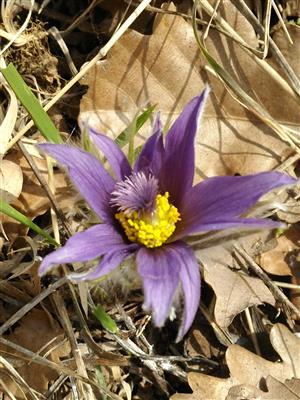 20160330_125347.png