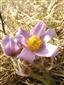 20160407_083841.png