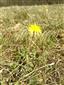 20160407_091520.png