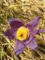 20160407_114537.png