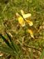 20160420_090148.png