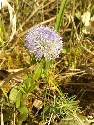 20160420_090543.png