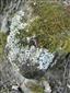 20160501_140938.png