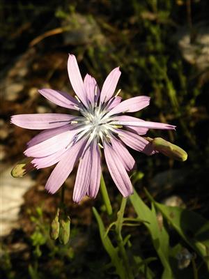 20160506_084519.png