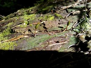 20160531_095720.png