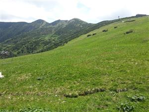 20160604_115156.png