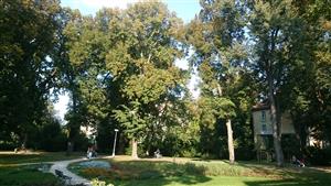 20160913_161705.png