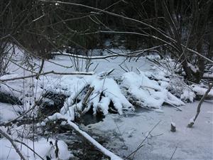 IMG_20161207_110055.jpg