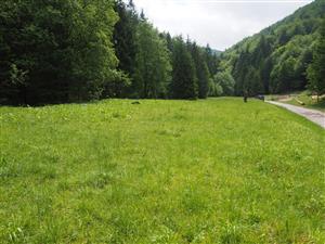 Lokalita Ophrys holubyana - Dolina Strážovského potoka