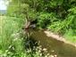 Nezregulovaný úsek potoka Hradná s brehovou vegetáciou