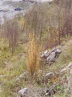 20171026_140003.png