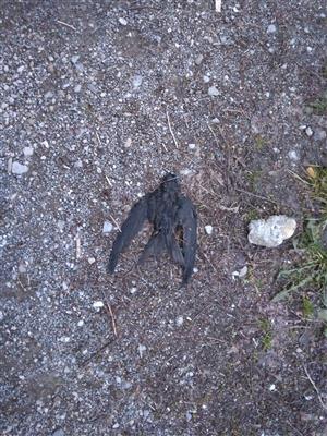 20170505_200620.png
