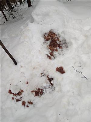20180127_134308.png