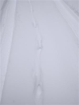 20180127_120441.png