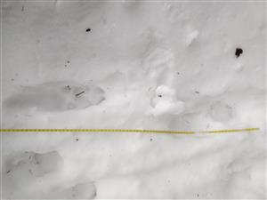20180127_100154.png