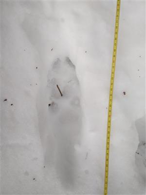 20180127_100206.png