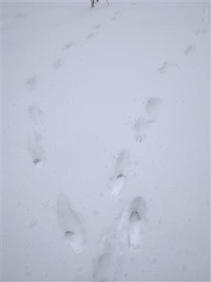 20180126_090427.png