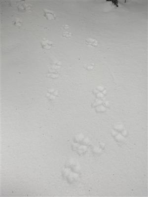 20180131_103804.png